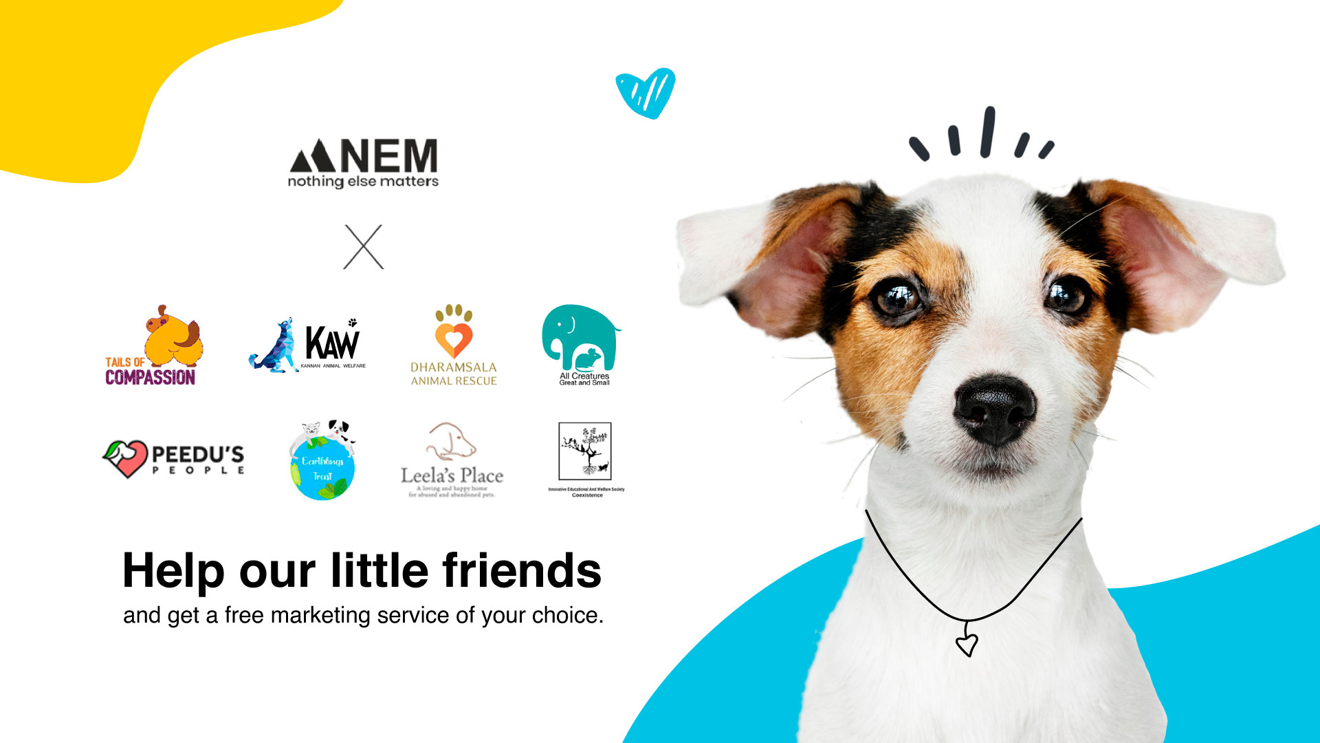 Website_banner_